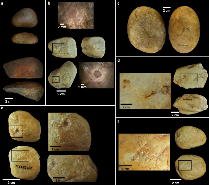 Снимки орудий труда, найденные археологами /©Tiago Falótico et. al., Nature Ecology & Evolution 2019