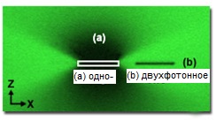 картина фотообесцвечивания, получающаяся в x-z направлении от повторных сканирований одной x-y плоскости
