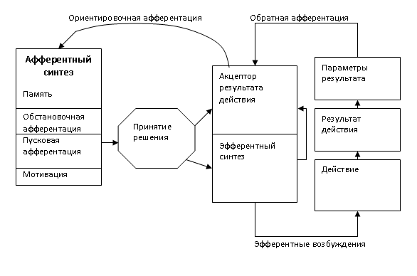 Функциональные Системы